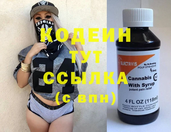 молекула духа Верхний Тагил