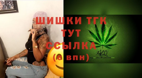 молекула духа Верхний Тагил