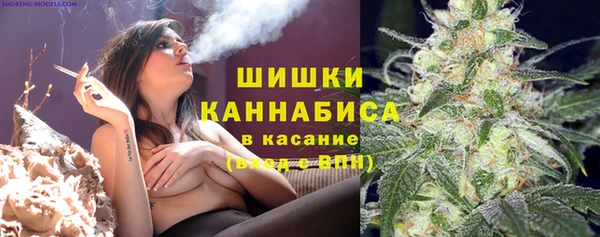 молекула духа Верхний Тагил