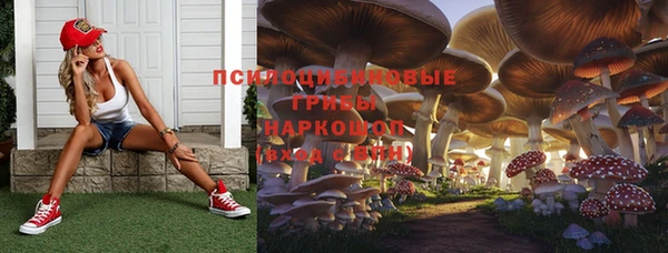 молекула духа Верхний Тагил
