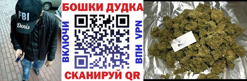 Конопля семена  kraken как зайти  Новочеркасск 